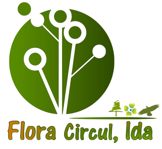 Flora Circul, Lda